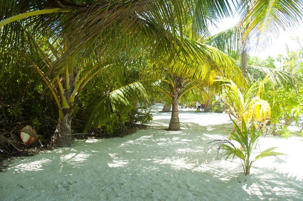 Hotel Palm Garden Thoddoo-Atoll Exterior foto